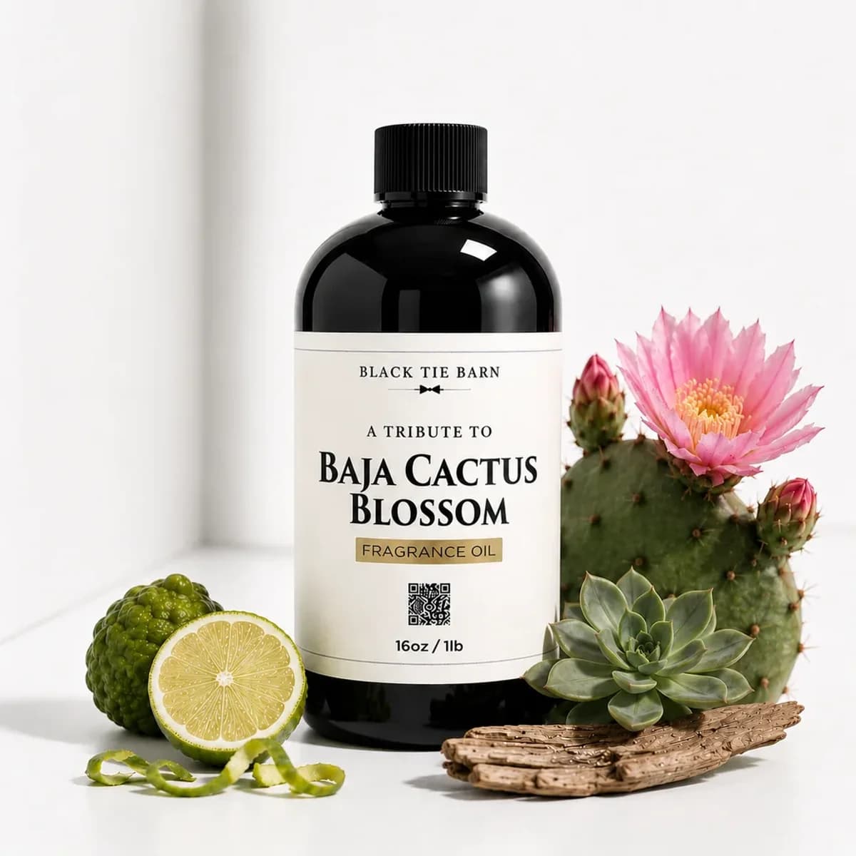 BAJA CACTUS BLOSSOM (Tribute)