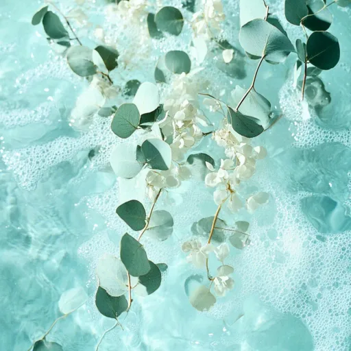 NORDIC SPA